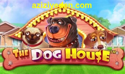 dog house slot oyunu