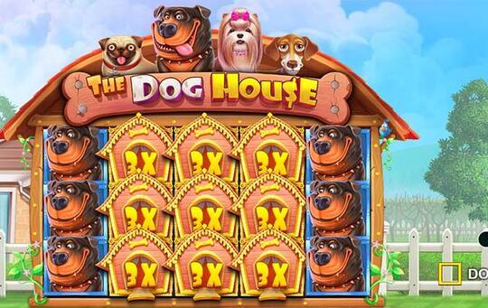dog house slotları nasıl